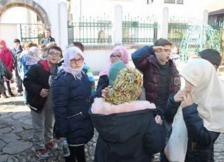 Miz Mostar Aktivnosti