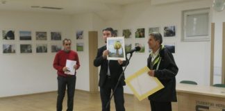 Miz Mostar Aktivnost