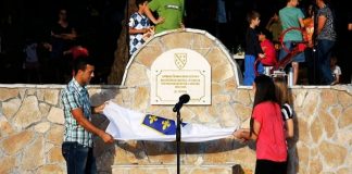Miz Mostar Aktivnosti