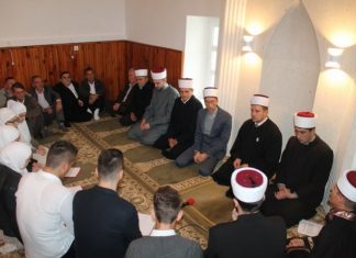 Miz Mostar Aktivnosti