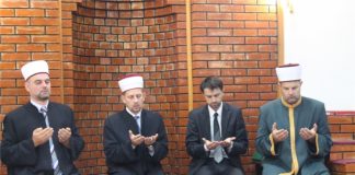 Miz Mostar Aktivnost