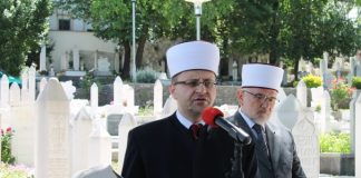 Miz Mostar Aktivnost