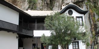 Miz Mostar Aktivnost