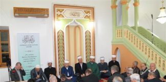 Miz Mostar Aktivnost