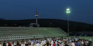 Miz Mostar Aktivnost