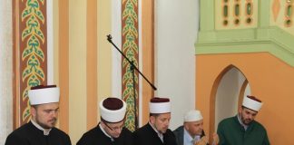Miz Mostar Aktivnost
