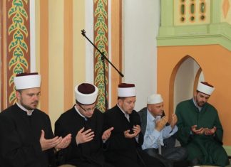 Miz Mostar Aktivnost