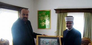 Miz Mostar Aktivnosti