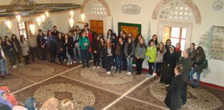 Miz Mostar Aktivnost