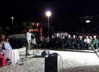 Miz Mostar Aktivnost