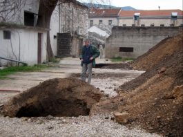 Miz Mostar Aktivnosti