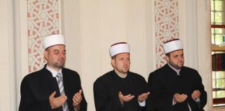 Miz Mostar Aktivnosti