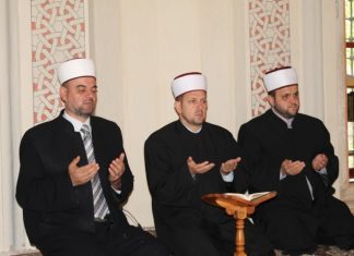 Miz Mostar Aktivnosti