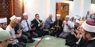 Miz Mostar Aktivnost