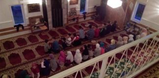 Miz Mostar Aktivnost