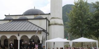 Miz Mostar Aktivnost