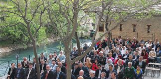 Miz Mostar Aktivnost