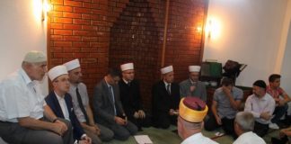 Miz Mostar Aktivnosti