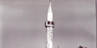 Miz Mostar Aktivnost