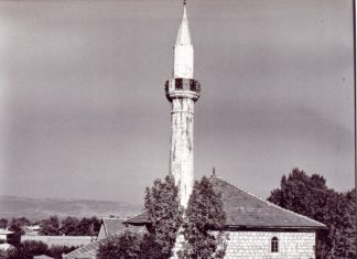 Miz Mostar Aktivnost