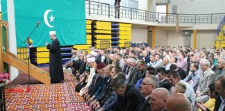 Miz Mostar Aktivnost