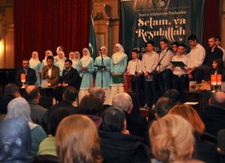 Miz Mostar Aktivnosti