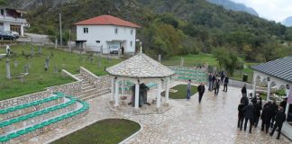 Miz Mostar Aktivnosti