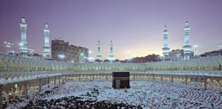 Miz Mostar Aktivnost