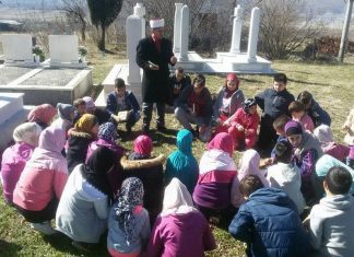 Miz Mostar Aktivnost