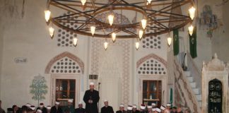 Miz Mostar Aktivnost