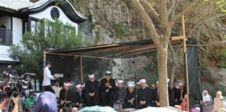 Miz Mostar Aktivnost