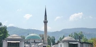 Miz Mostar Aktivnost