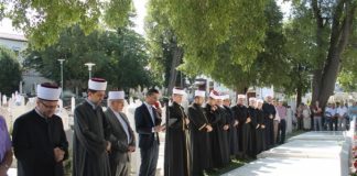 Miz Mostar Aktivnost