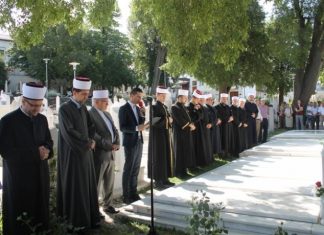 Miz Mostar Aktivnost