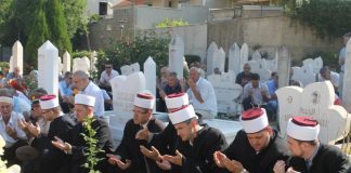 Miz Mostar Aktivnosti