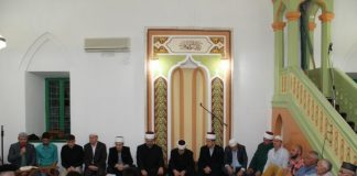 Miz Mostar Aktivnost