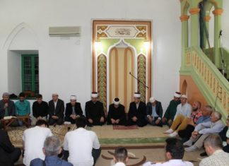 Miz Mostar Aktivnost