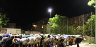 Miz Mostar Aktivnost