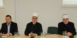 Miz Mostar Aktivnosti