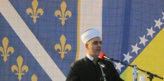 Miz Mostar Aktivnosti