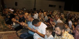 Miz Mostar Aktivnosti