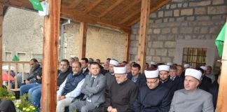 Miz Mostar Aktivnost