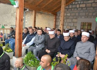 Miz Mostar Aktivnost