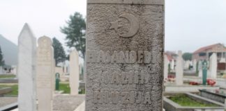 Miz Mostar Aktivnost