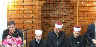 Miz Mostar Aktivnost