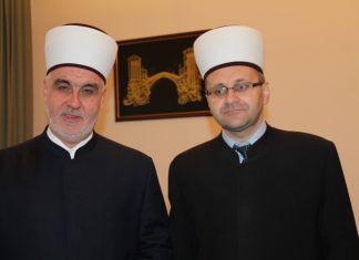 Miz Mostar Aktivnost