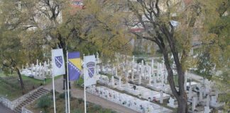 Miz Mostar Aktivnost