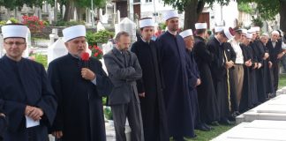 Miz Mostar Aktivnosti