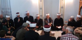 Miz Mostar Aktivnosti