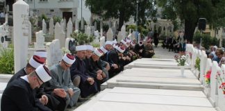 Miz Mostar Aktivnost